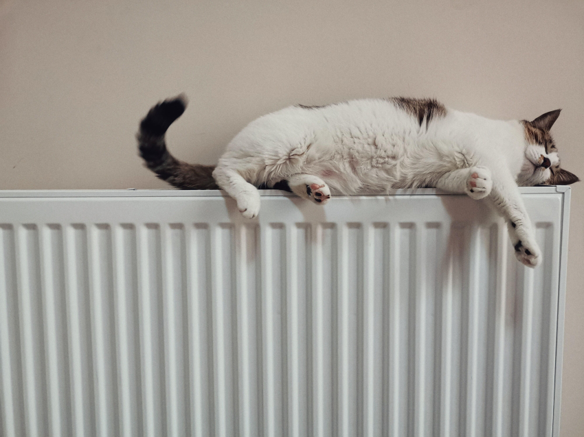Energy saving 1