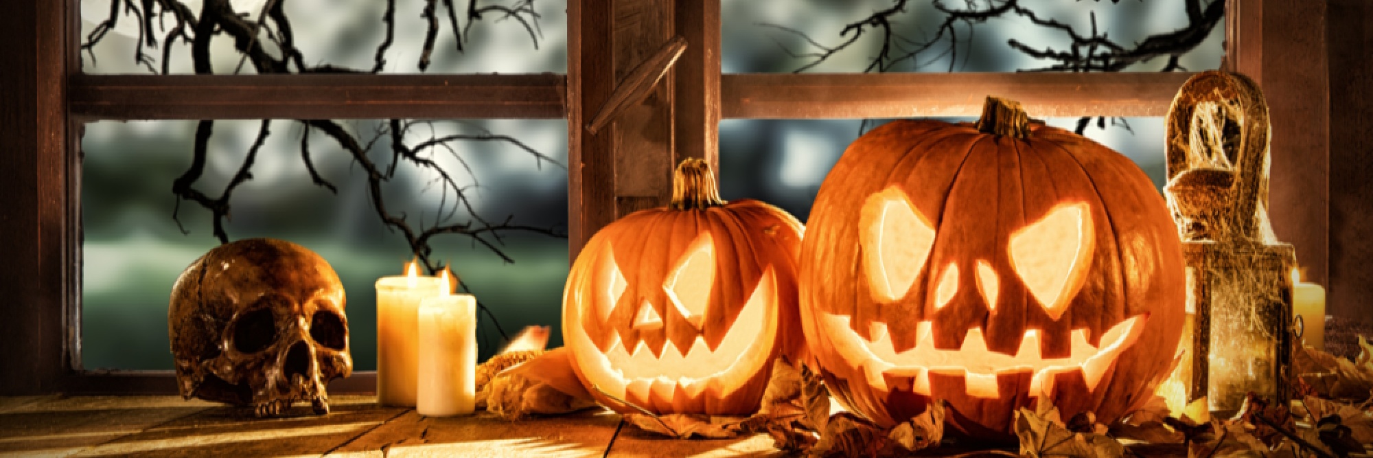 Halloween 25 Blog